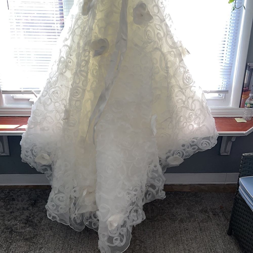 Wedding Dress - Picture 5 of 15